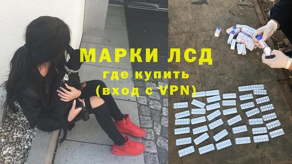 гидропоника Верея