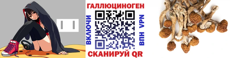 Галлюциногенные грибы GOLDEN TEACHER MEGA сайт Очёр